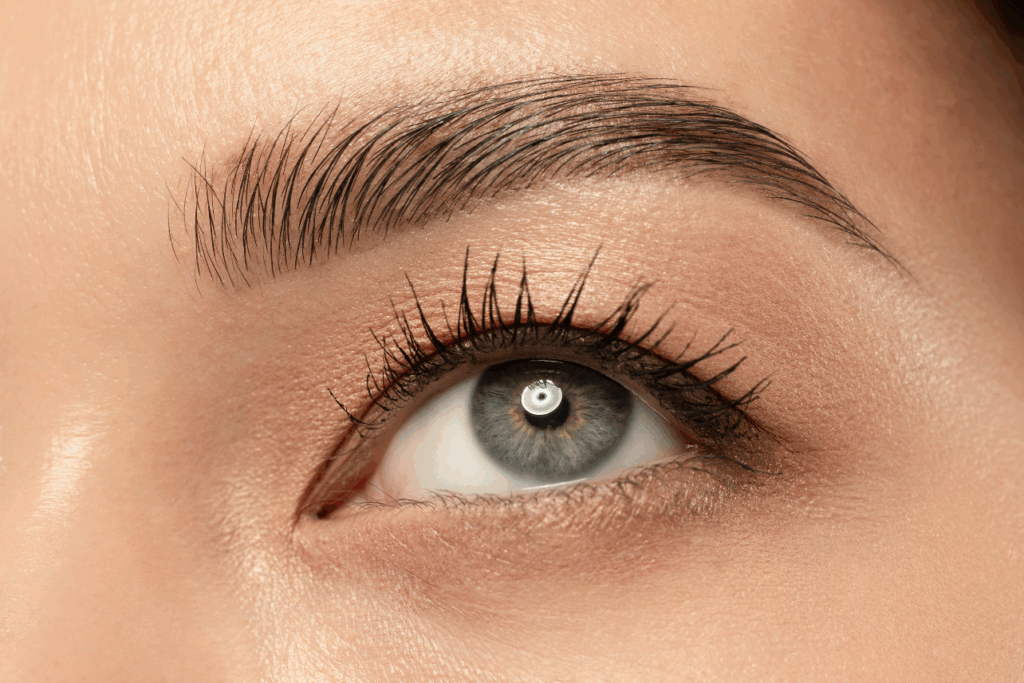 productos para cejas mejores